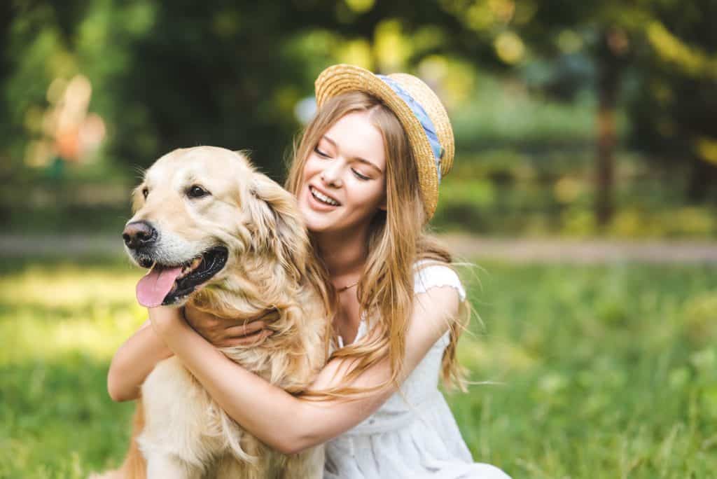 Golden Retriever – Những người bạn trị liệu với trái tim vàng