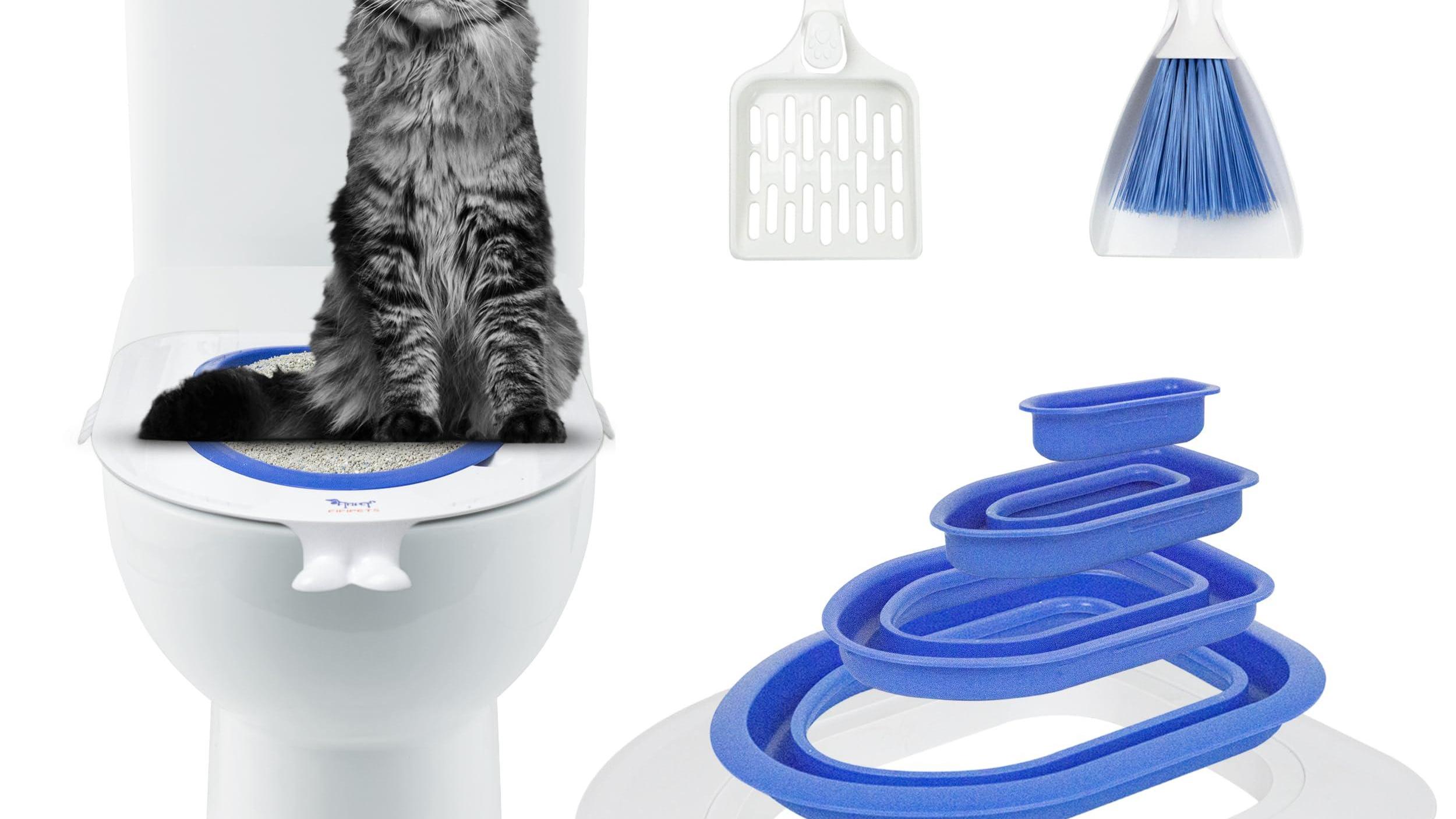 Huấn luyện mèo Sphynx sử dụng bồn vệ sinh – Có khả thi không?